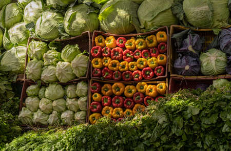 Large market stall full of organic vegetablesの写真素材