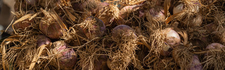 Heap of garlic in local market