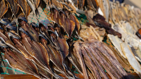 Fish drying on the beach in Nazareの写真素材