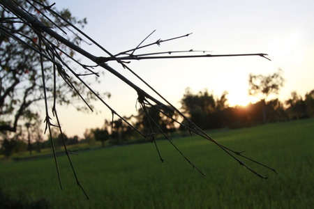 last lightsの写真素材