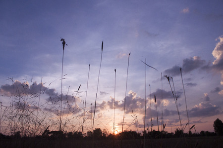 sunsetの写真素材
