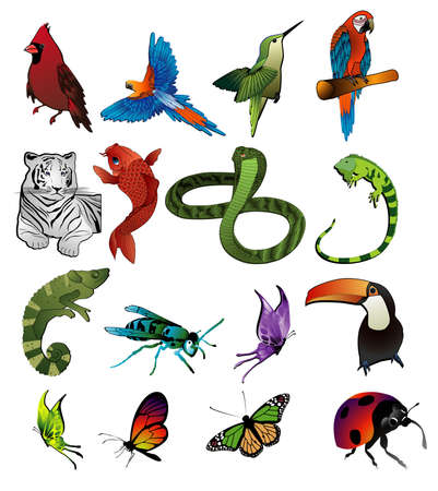 animals vectorのイラスト素材