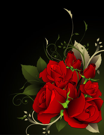 roses vector illustrationのイラスト素材