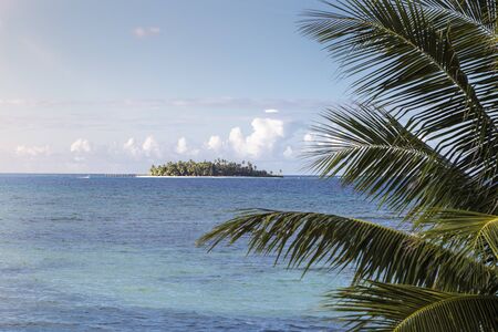 Palms and Island in the Caribbeanの写真素材
