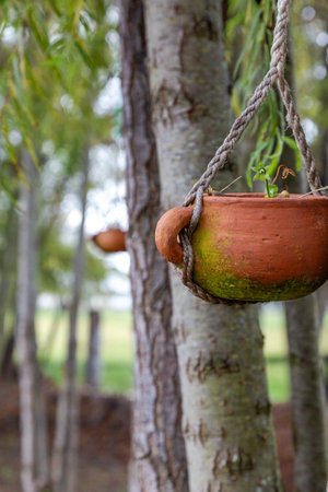clay pot hanging on a tree in the garden, stock photoの写真素材