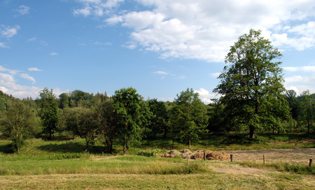 Panorama of a summer landscape with fields.の写真素材