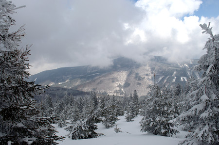 Panorama of a winter landscape in Beskydy.の写真素材