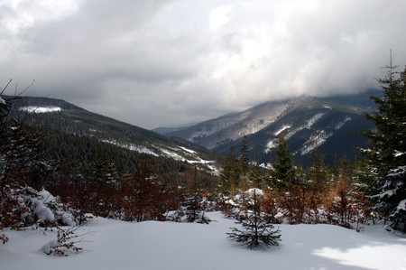 Panorama of a winter landscape in Beskydy.の写真素材
