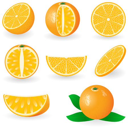 Vector illustration of orange fruitのイラスト素材