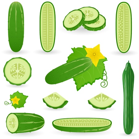 Icon Set Cucumberのイラスト素材
