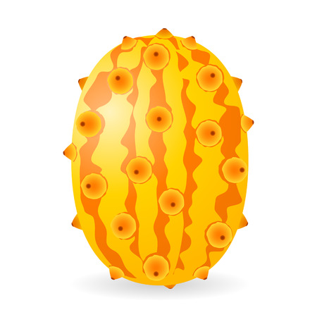 A Vector illustration of  or horned melon fruit isolated on white backgroundのイラスト素材