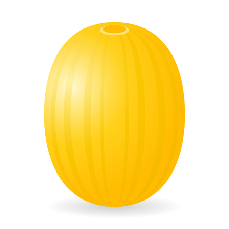 Vector illustration of melon isolated on white backgroundのイラスト素材