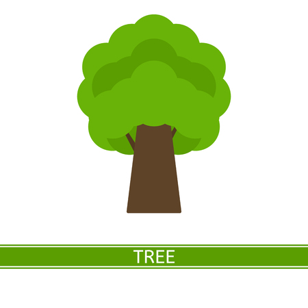 A Vector illustration of tree isolated on white background, in flat styleのイラスト素材
