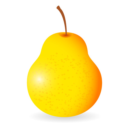 Pear fruit illustration.のイラスト素材