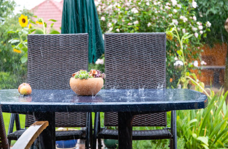 Ceramic pot with succulents on the table outside on the patio in the late summer rain.の写真素材