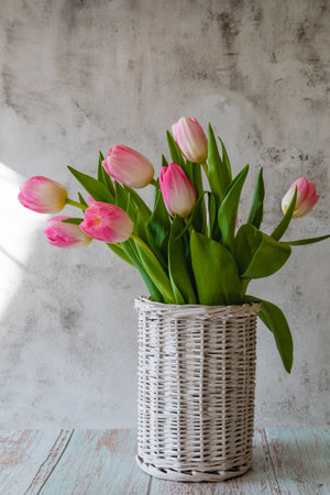 Vase of willow branches with pink tulipsの写真素材