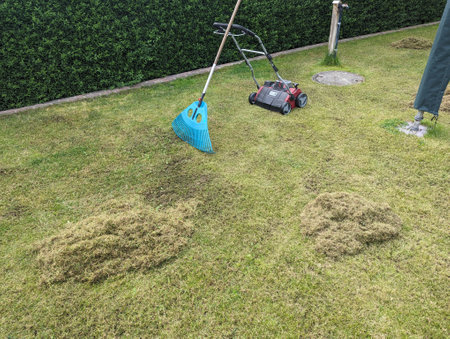 Essential lawn care tools, including a lawn mower and blue rake, in action during spring garden maintenance to improve grass health.の写真素材
