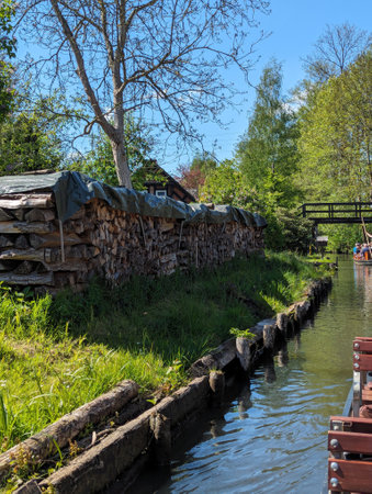 Lush willow trees gracefully drape over the tranquil river, reflecting in the clear waters, creating a serene and picturesque natural landscape ideal for relaxation.の写真素材