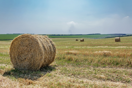 cereal field with straw bales and the blue skyの写真素材
