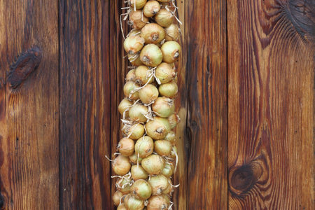 tied bulbs lie on a wooden tray