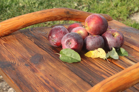 apples lie on an old wooden trayの写真素材