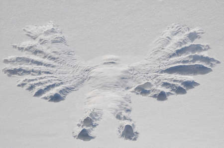 Convex Snow Angleの写真素材