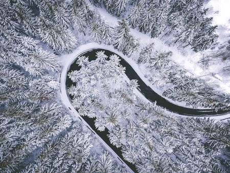 Winter road in forestの写真素材