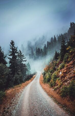 Misty Mountains roadの写真素材