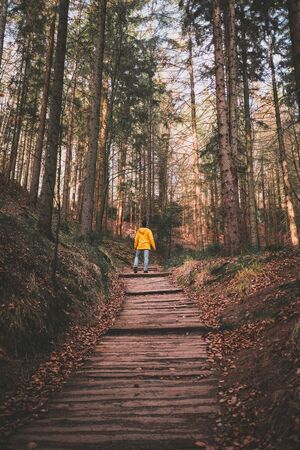 Man in yelow jacket walking in forestの写真素材