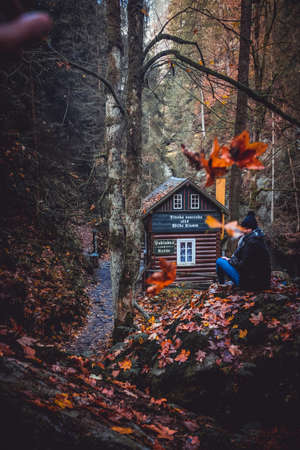 Autumn cabin with girlのeditorial素材