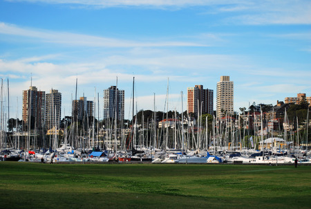 Rushcutters Bay Park skyline, Sydney, Australiaの写真素材
