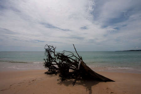 Beach at the Phuketの写真素材