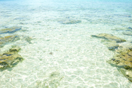 Crystal clear ocean at Koh Rok island, Krabi, Thailand.の写真素材