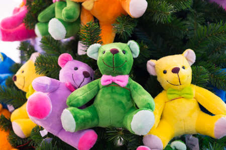 Colourful bears hanging on the christmas treeの写真素材