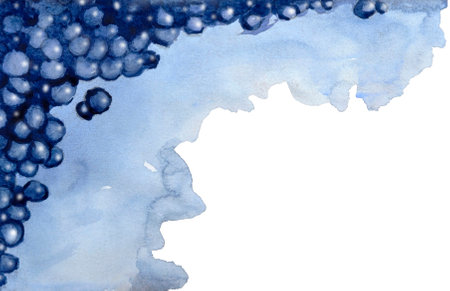 corner frame with watercolor blueberries and blue texture on a white backgroundの写真素材