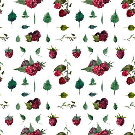 isolated watercolor blackberry, raspberry, green leaves, branches set, seamless pattern on a white background, for textile, printの写真素材