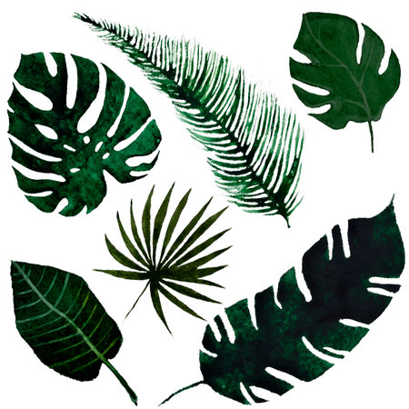 watercolor set of tropical green leaves and branches on white backgroundの写真素材