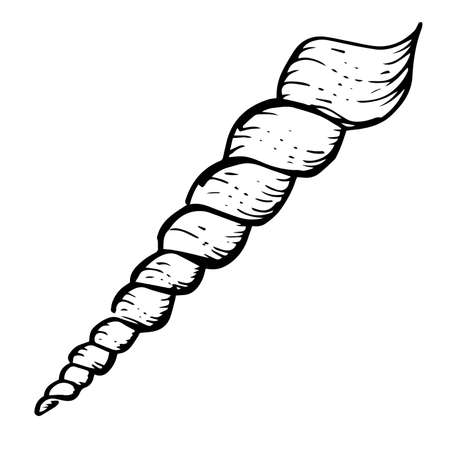 doodle marine object, line art icon of seashell on a white backgroundの写真素材