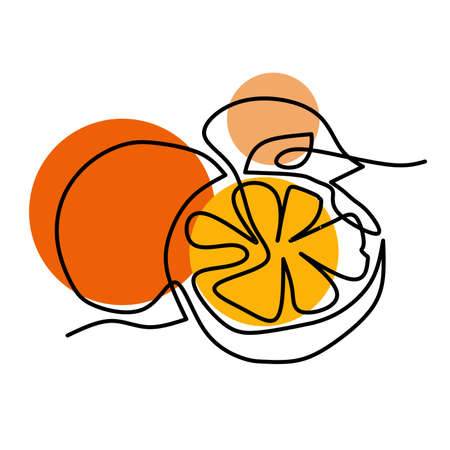 Minimalism line art illustration of orange with stains on white backgroundの写真素材