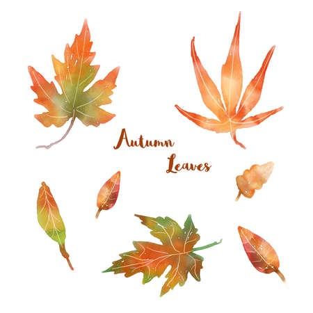 watercolor set with bright autumn leavesの写真素材
