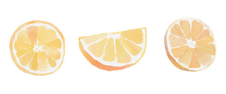 Watercolor set with oranges, slice of orange on white backgroundの写真素材