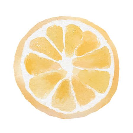 Watercolor orange, slice of orange on white backgroundの写真素材
