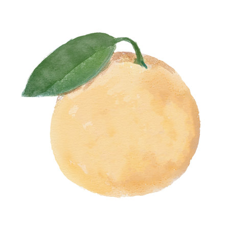 Watercolor orange with green branch and leaves on white backgroundの写真素材
