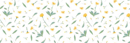 watercolor seamless pattern with medicinal plants, yellow, orange flowers with green leaves on white backgroundの写真素材