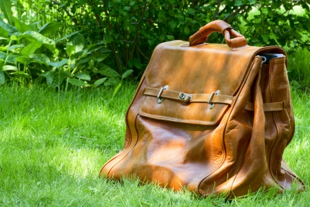 Sunlit leather carpetbag on a background of green grassの写真素材