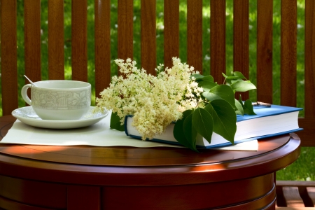 On the table in the garden a book, a cup for tea and flowersの写真素材