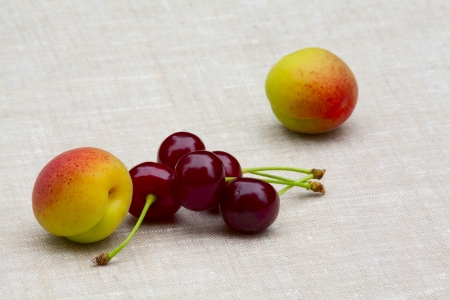 Beautiful summer breakfast - cherries, apricotsの写真素材