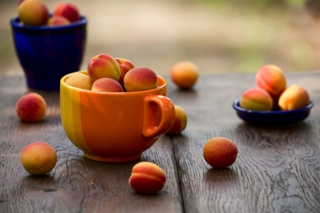 Beautiful ripe apricots in a ceramic bowl on old table in the gardenの写真素材