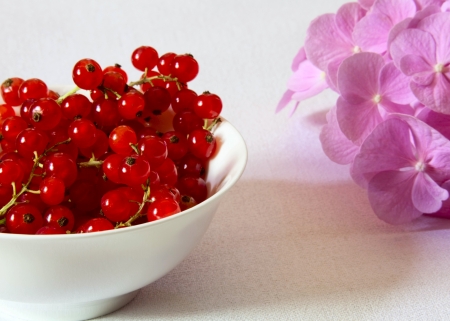 Red currants in a white ceramic bowl and pink flowers on a light backgroundの写真素材