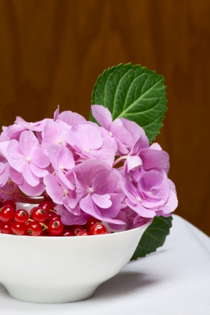 Red currant and pink flowers on a structural wooden backgroundの写真素材